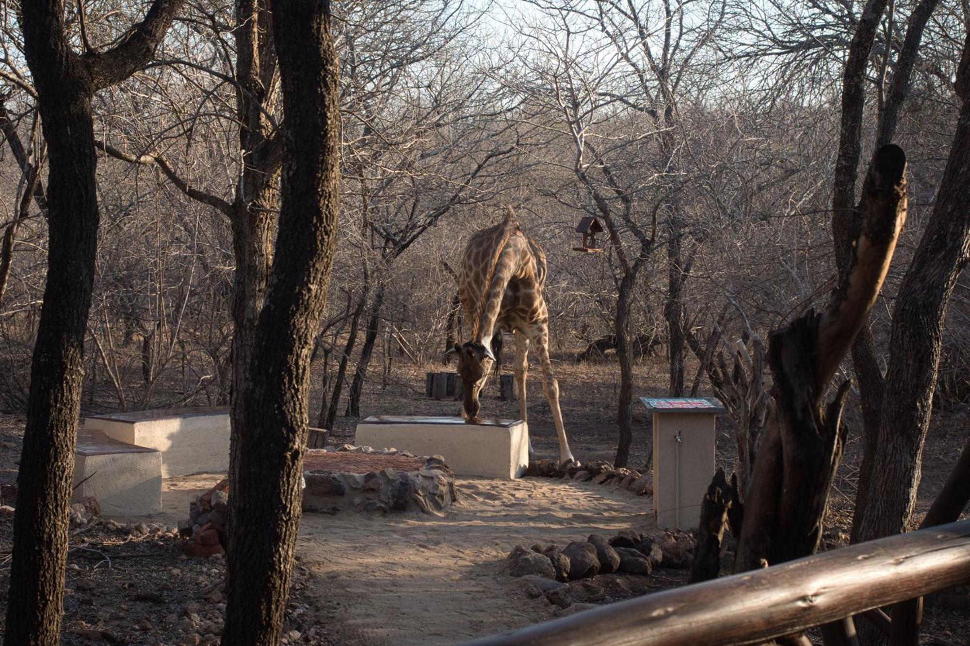 Holiday home Jabulani Bushhouse - Marlothpark